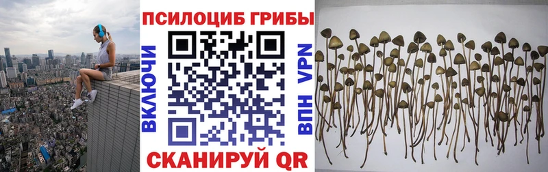 где продают   ОМГ ОМГ зеркало  Псилоцибиновые грибы MAGIC MUSHROOMS  сайты даркнета Telegram  Заинск 